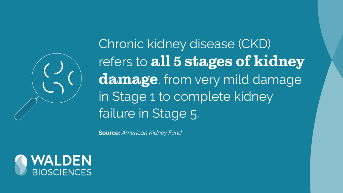 WaldenBio's tweet photo. Anyone can get chronic kidney disease #CKD, but those w/ diabetes &amp; high blood pressure are at a heightened risk &amp; should work w/ a doctor to keep blood sugar &amp; blood pressure under control. Learn more from the @KidneyFund about #CKD and how to prevent it: https://t.co/bCrgEFMhJj https://t.co/4qptb3xdCH