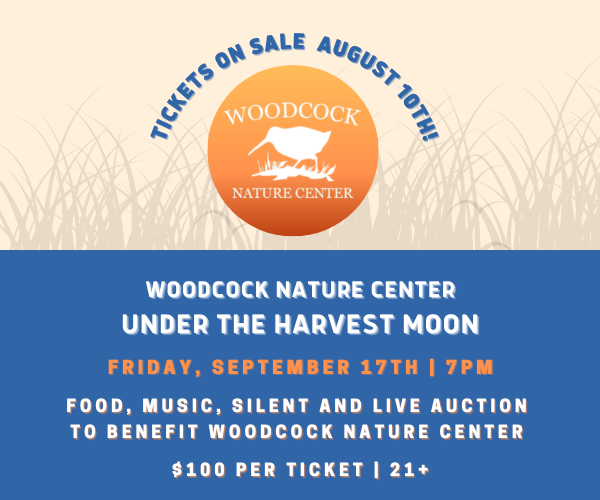 Tickets are ON SALE! Buy now: wnc.app.neoncrm.com/np/clients/wnc…