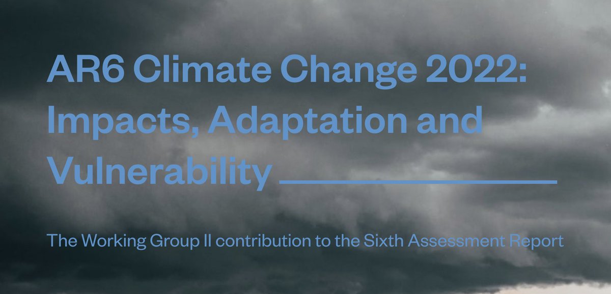 Climate Futures tweet media