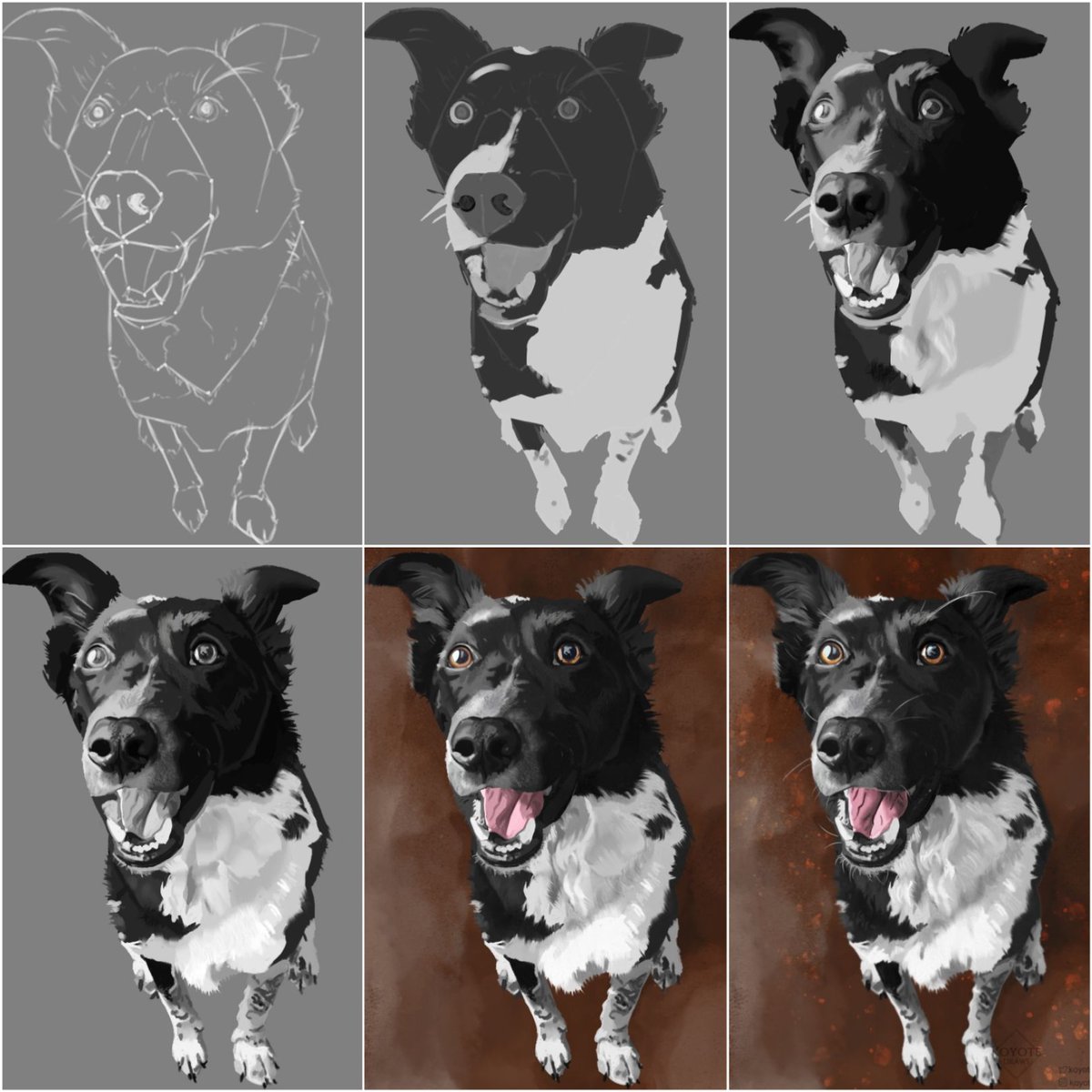 KoyoteDraws's tweet image. Process from yesterday&apos;s piece.

#stepbystepprocess #art #digitalart #petportrait #digitalpainting #artprocess #arttwt