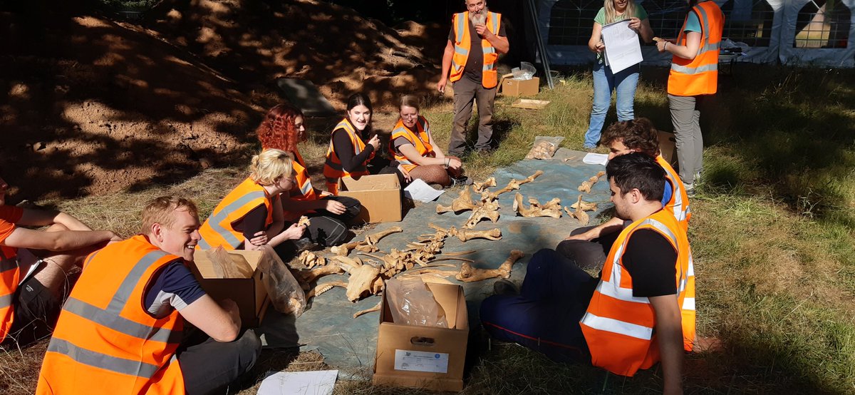 Test pits were started today over the remains of possible 17th century paths at <a href="/WollatonHall/">Wollaton Hall</a> with a bit of photography training and animal bone identification thrown into the mix! #WeDig #archaeology #training #digging