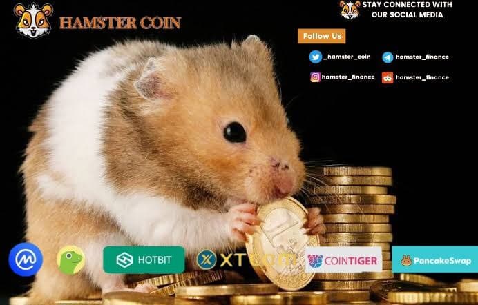 hirotoshi54's tweet photo. @TrustWalletApp #Hamstercoin very good project..
#CoinMarketCap & #coingecko โ
#CoinTigerEX โ
#XTexchange โ
#Hotbit_news โ
#audit certificate โ
Twitter CEO
@jack
supports Hamster. ๐น
Hamster knows the future belongs to crypto and loves #BTC #HODL๐
@ gate_io @ _hamster_coin https://t.co/rLl9fPJzdo