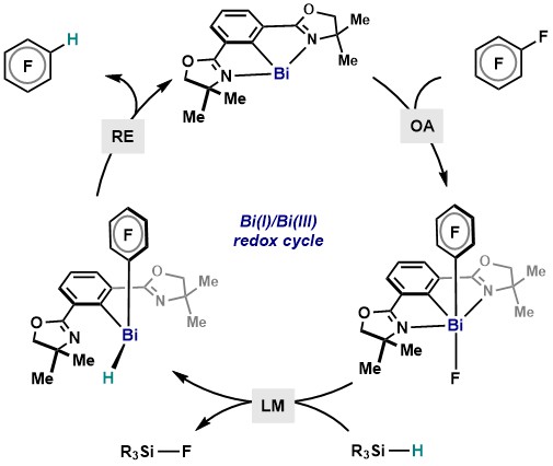 Reporting in <a href="/J_A_C_S/">J. Am. Chem. Soc.</a>: low-valent Bi redox catalysis via elementary organometallic steps: catalytic hydrodefluorination. Excellent work by Yue (<a href="/YPYuePang/">Yue Pang</a>) Markus (<a href="/MrIrieman/">Markus L.</a>), Nils and Felix! pubs.acs.org/doi/10.1021/ja…