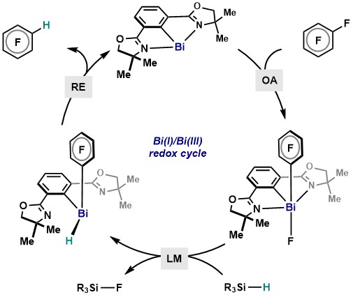 Reporting in @J_A_C_S: low-valent Bi redox catalysis via elementary organometallic steps: catalytic hydrodefluorination. Excellent work by Yue (@YPYuePang) Markus (@MrIrieman), Nils and Felix! pubs.acs.org/doi/10.1021/ja…