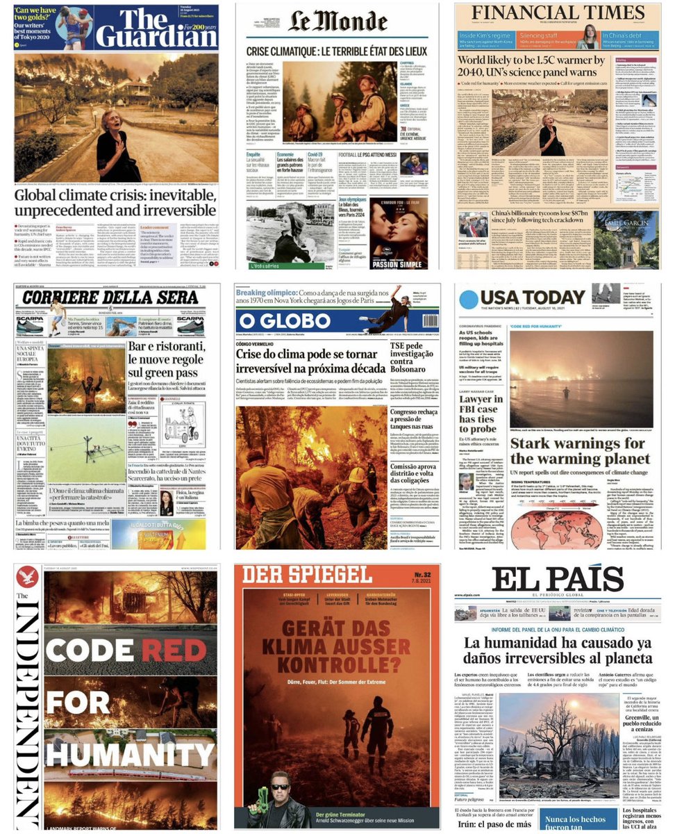 Amparo Mercader tweet media