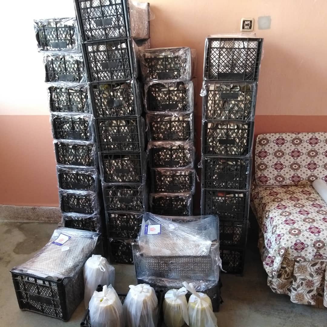 FSeedles's tweet photo. #Manisa #Sarıgöl #Çanakçı #beyyeri #Emcelli bölgesindeki bağlarımızda yetiştirdiğimiz çekirdeksiz #süperiorseedles ile çekirdeksiz #Fantasyseedles üzümlerimizi #Doktorlarımız ve #üzümseverler dostlarımız için Türkiye nin dört bir tarafına #sevda olsun diye gönderdik yine 🍇🍇🙏🙏 https://t.co/ppL4PpyH9g