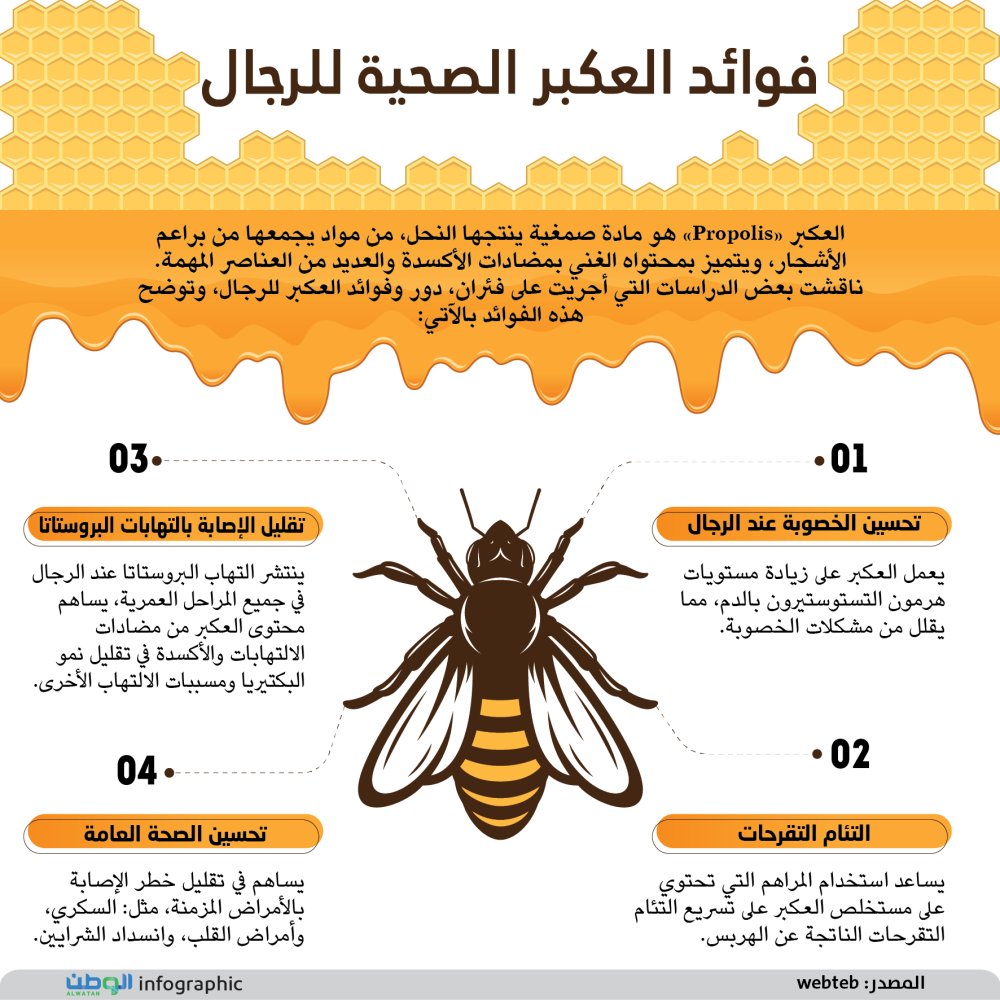 صحيفة الوطن السعودية | #إنفوجرافيك | فوائد العكبر الصحية للرجال