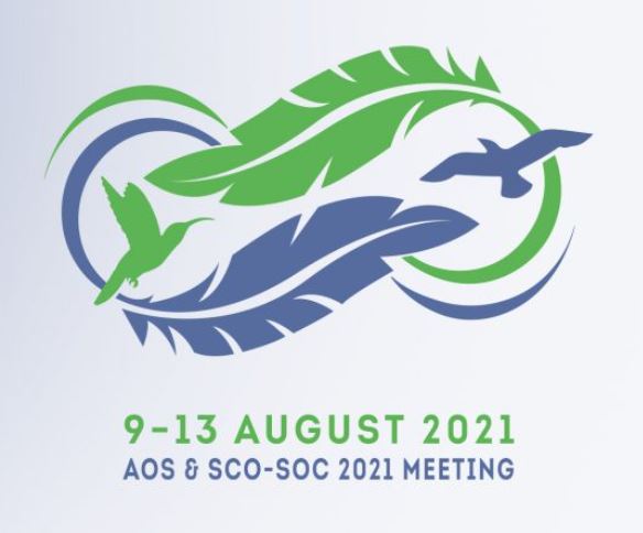 RobynAnneGrant's tweet image. I&apos;m really enjoying #2021AOS_SCO #2021AOS this week! Two of us from @MMUEcolEnv #Ornithology will be presenting this week. @Alexander_Lees today, and me on Friday.