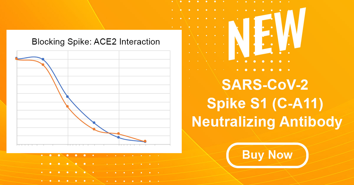 AvivaSysBio's tweet image. The SARS-CoV2 Spike (S1) Neutralizing #Antibody  is useful for ACE2:Spike RBD interaction studies in #ELISA and Flow Cytometry.  avivasysbio.com/sars-cov-2-spi…