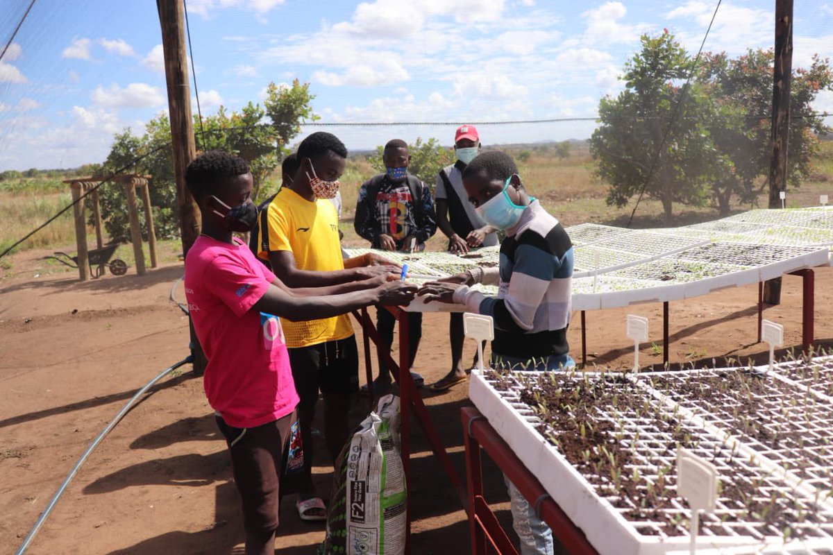 Secretário de Estado #CaboDelgado inaugura estufa para produção de mudas hortícolas, Namumo.
#SNV apresenta o potencial os jovens para da produção de mudas fitossanitárias de alta qualidade.  <a href="/NLinMozambique/">NL Embassy in Maputo</a>
@SNV_AGRI
#InternationalYouthDay
