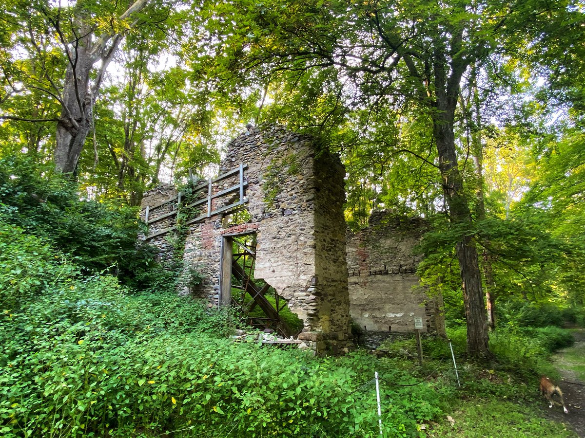 NYChick09's tweet photo. You probably don’t have to travel far to find a great hiking trail. Here are a few snapshots from my recent adventures.
#hike #hikingadventures #getoutside #outside #summer #explore #Wanderlust #NewYork #iloveny https://t.co/5KTECVXnVY