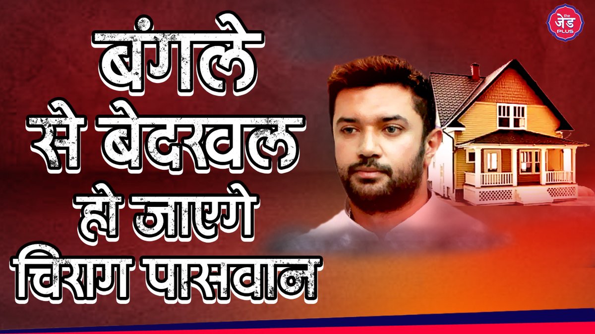 The Z plus tweet media