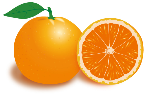 柑橘類から抽出される クエン酸 のクエンには漢字があり オレンジの語源になったある果物を指す中国語が日本語になったものだった Togetter