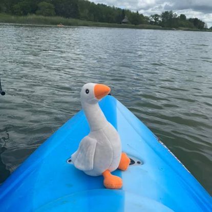 InstinctiveSol's tweet photo. So much has happened in the pond over the past year.  I've masked up for outings, removed my mask to dip my bill in the hot pond on a number of occasions - one would hate to have a sopping mask).  On occasion I even hopped aboard a kayak to get a greater perspective on life. https://t.co/iWflljbnWT