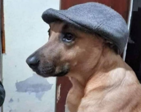 Eu depois de ver Peaky Blinders