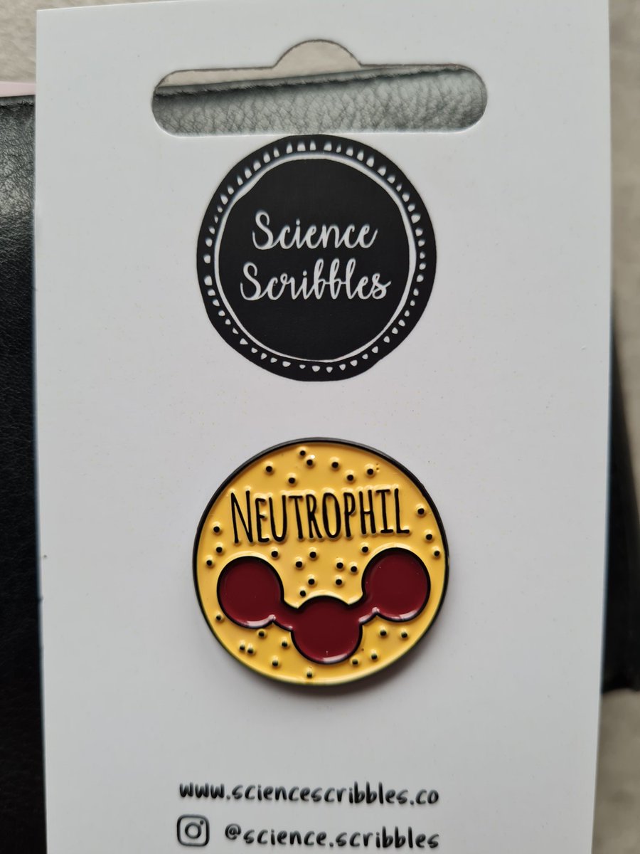 kmeade11's tweet photo. Great to catch up with our most recent PhD @itsmobrien today with @McLoughlin_Lab. Thanks for lovely gifts and neutrophil badge. Thesis corrections on the way to @ClionaOfarrelly #interleukin8 https://t.co/s6lQ7NlbQo