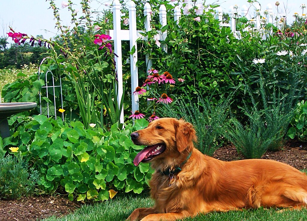 MabelMcCracken's tweet image. #TongueOutTuesday