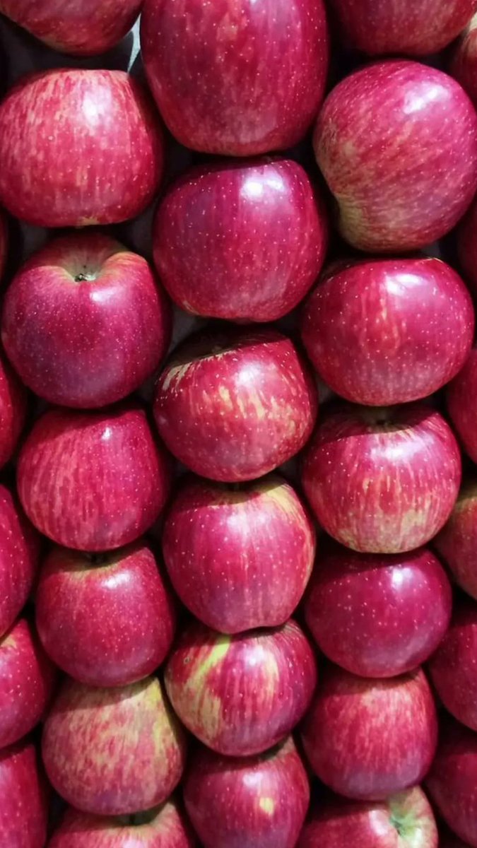 ashuhimachali's tweet photo. ये लाल लाल सेब 🍎
#applesession #HimachalPradesh #rohru #chirgaonvalley #delisiousfood #uppershimla #applevalley https://t.co/8QxSNDjcQ6