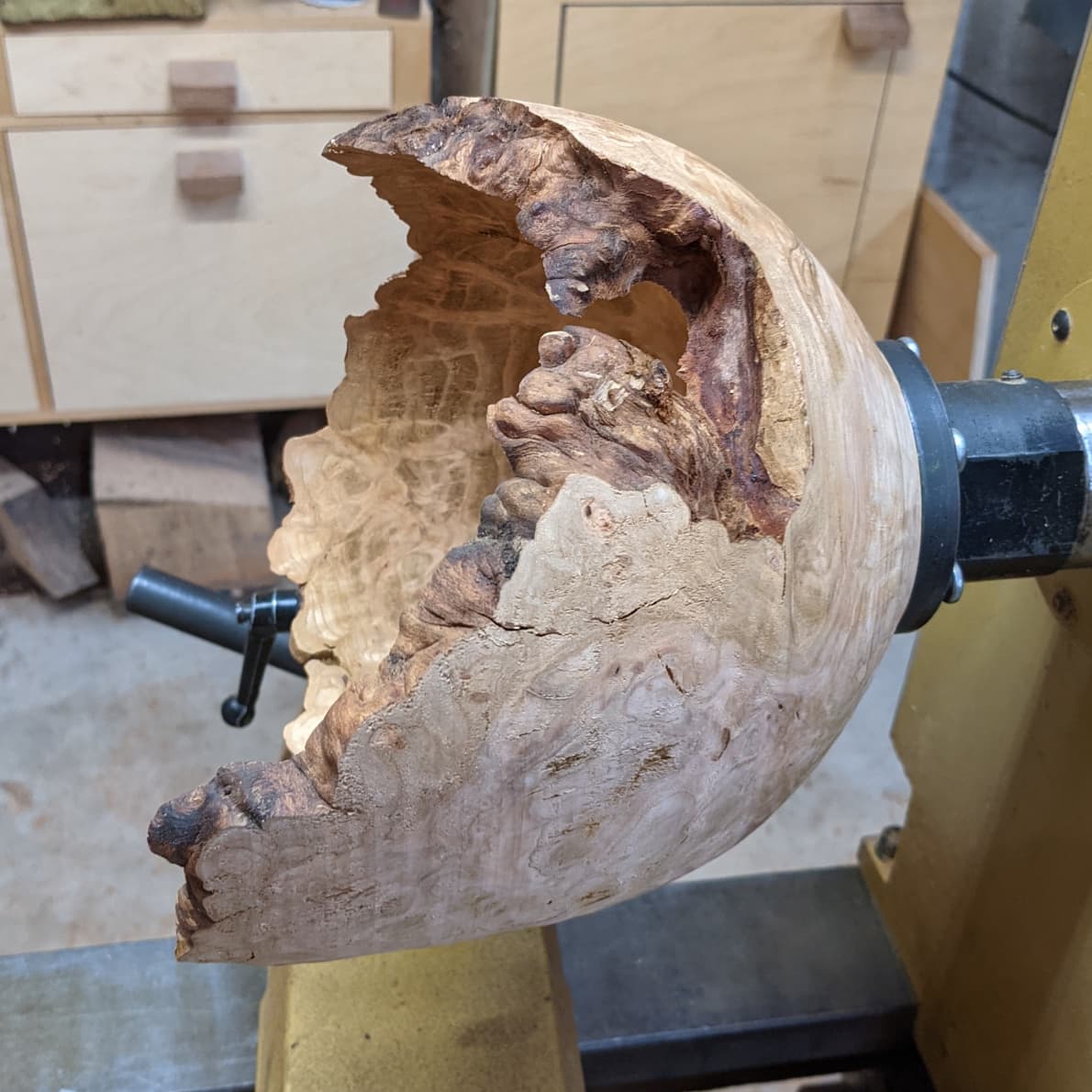 Frank Howarth tweet media