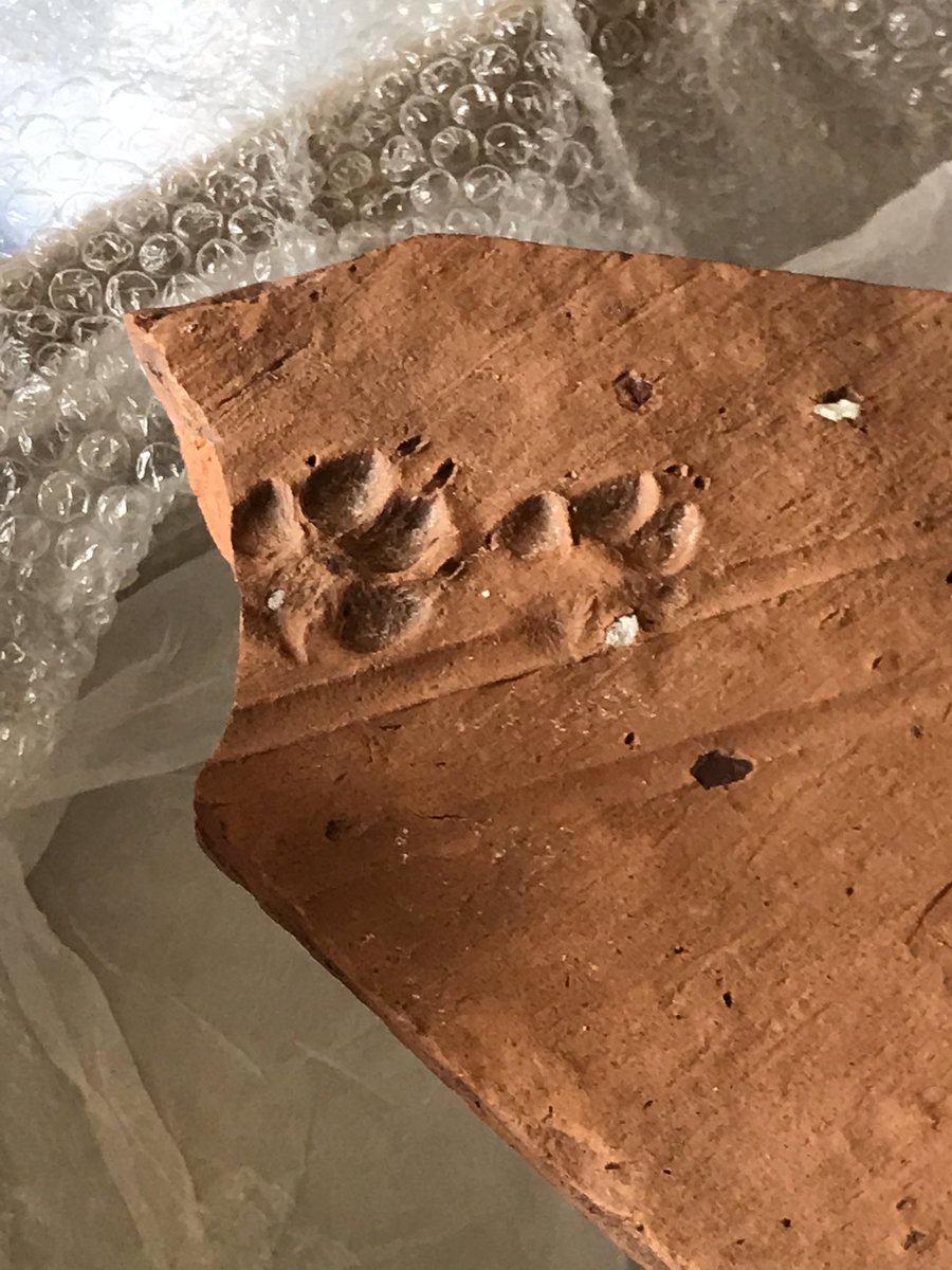 Popped into today’s @CharltonHouseGW Charlton Explorers session to see this Roman puppy print! 😻🐶 did not disappoint 💓