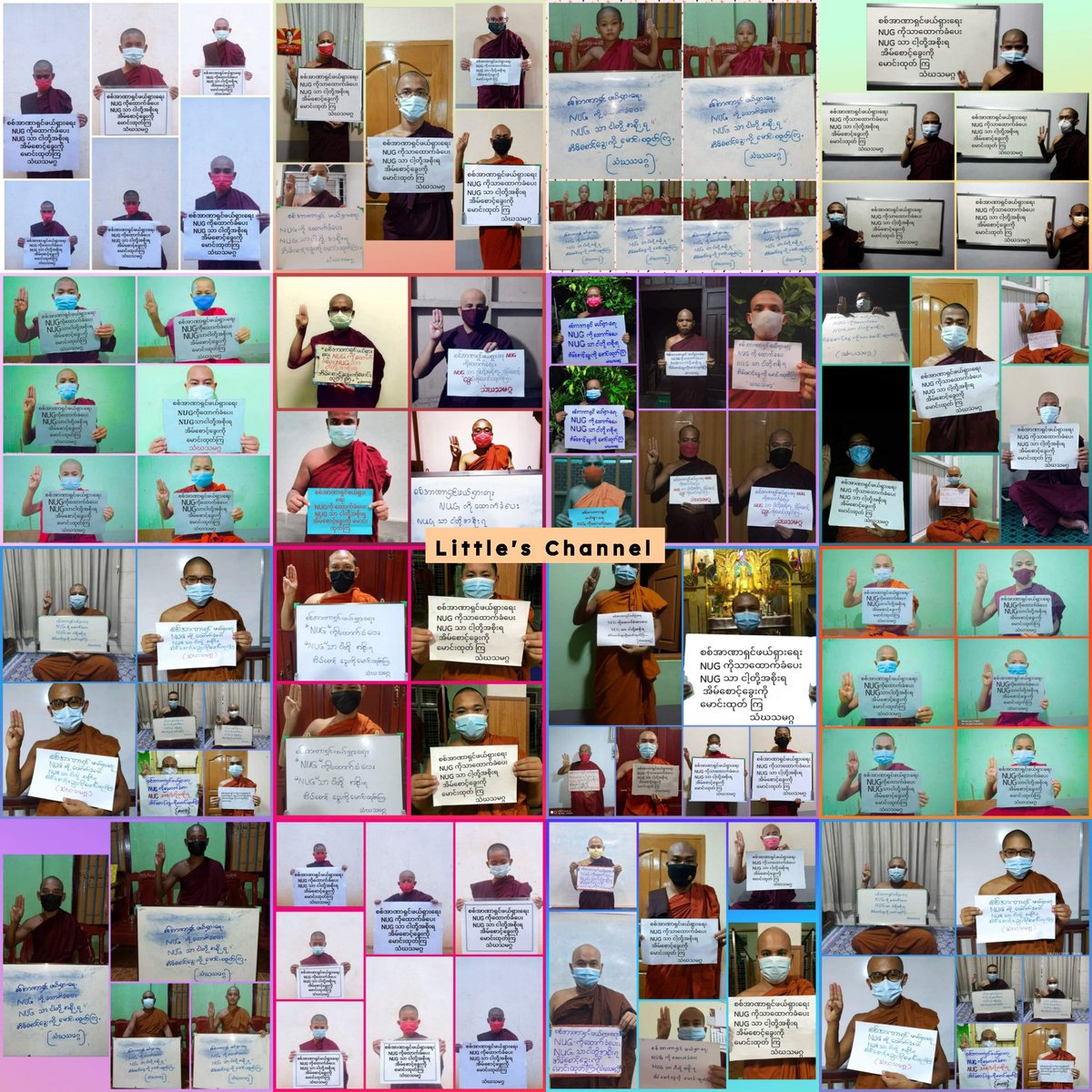 Little Activist tweet media