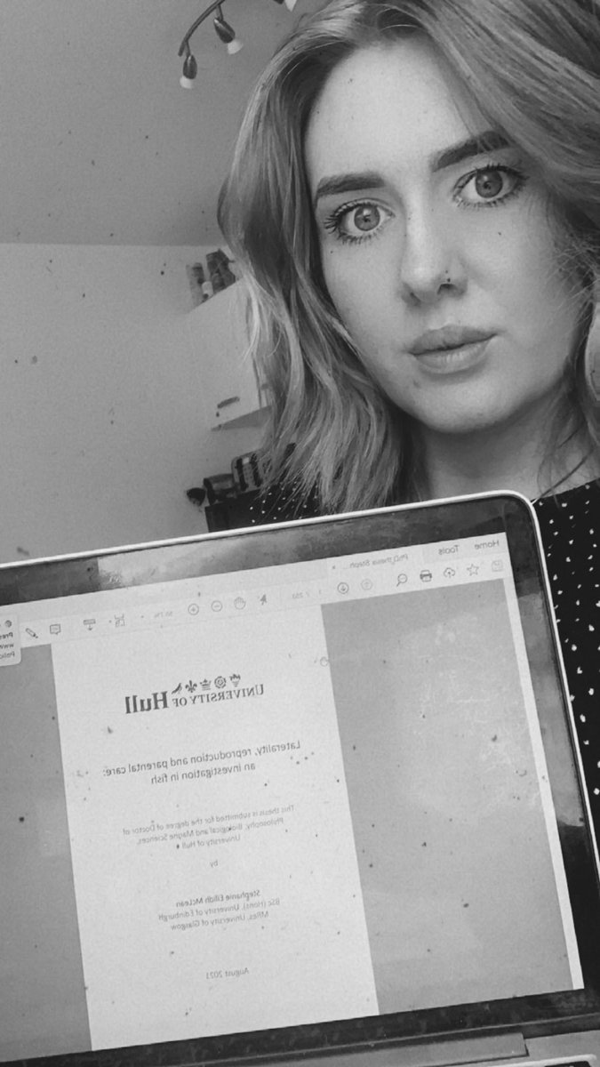 Stephanie McLean tweet media