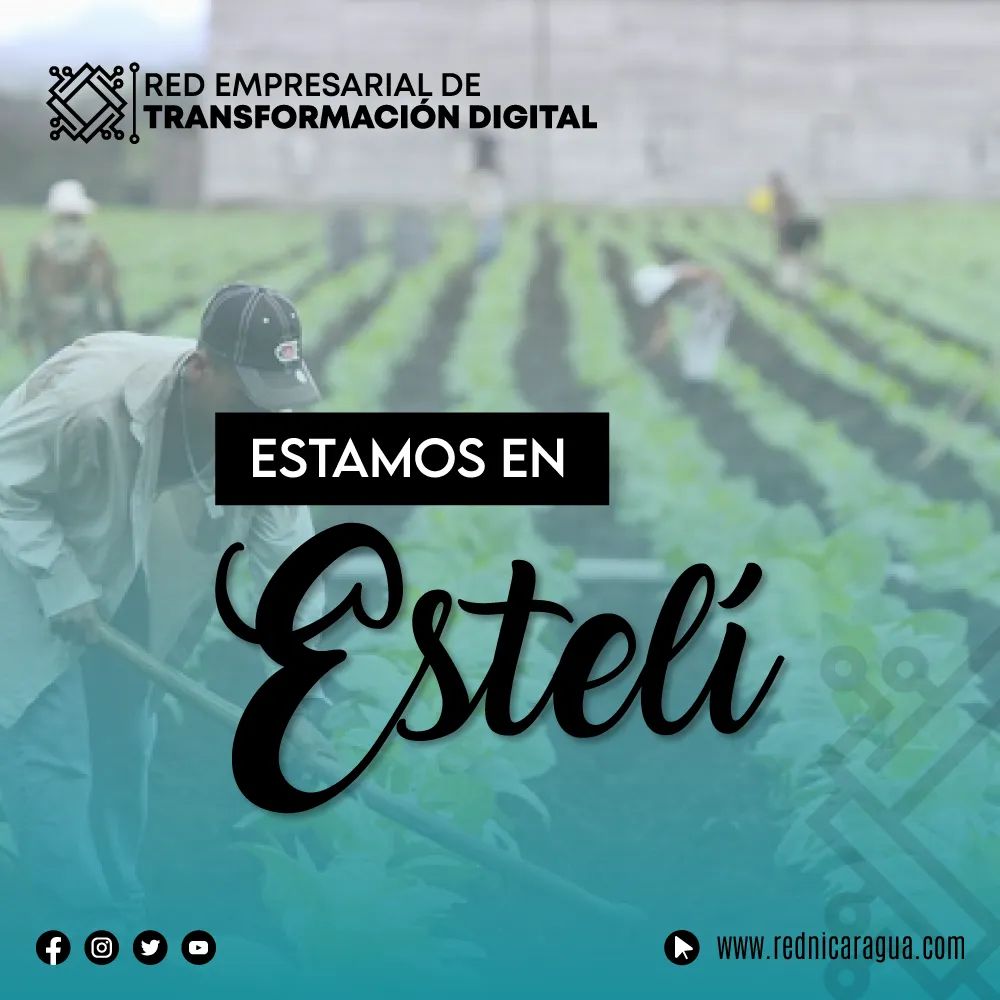 Red Empresarial de Transformación Digital tweet media