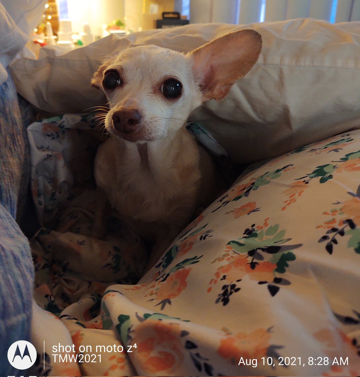 TattieMarie's tweet image. 