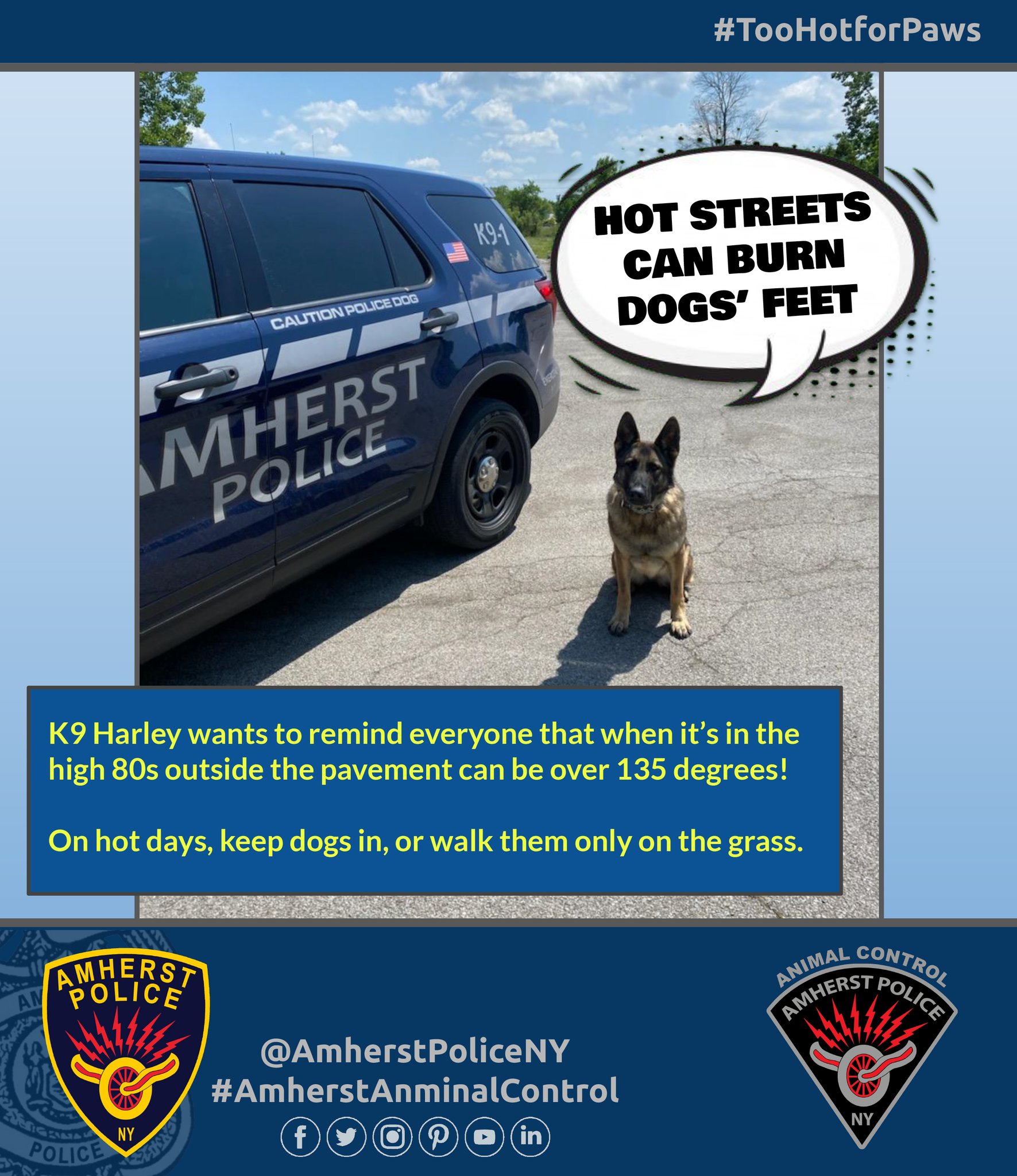 Arrest Org Amherst Countyfav Event Invitations - 968ub46