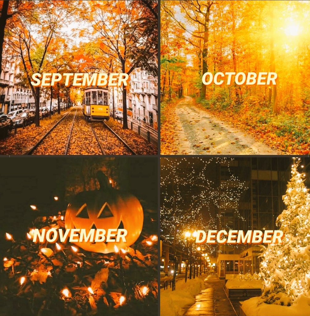 jewel_ebony's tweet image. Ready. 🍁