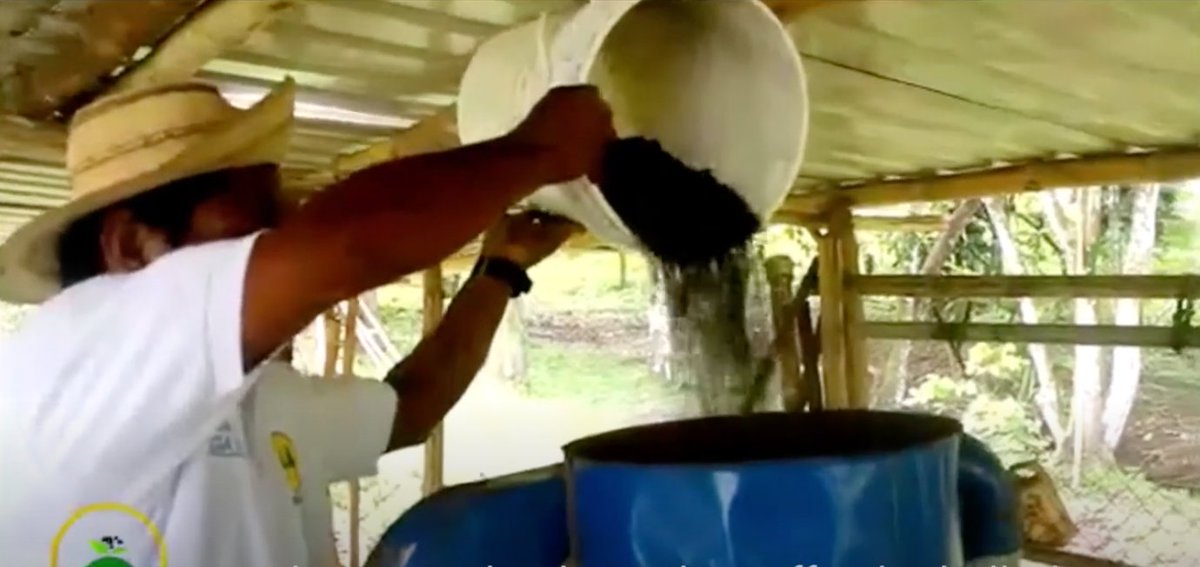 Learn From Travel tweet media