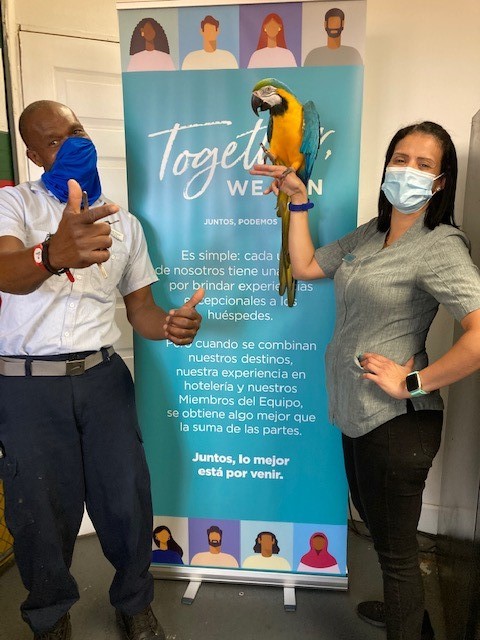 The #CypressPointe team was excited to receive our materials and embrace #TogetherWeCan. Even our beloved #CPRCharlie got in the spirit! @diamondresorts @DiamondCareers @Julissa7777 @RicJimDR @RonaldCarroz @luxury_tim @HiltonGrandVac @lrbjenkins71