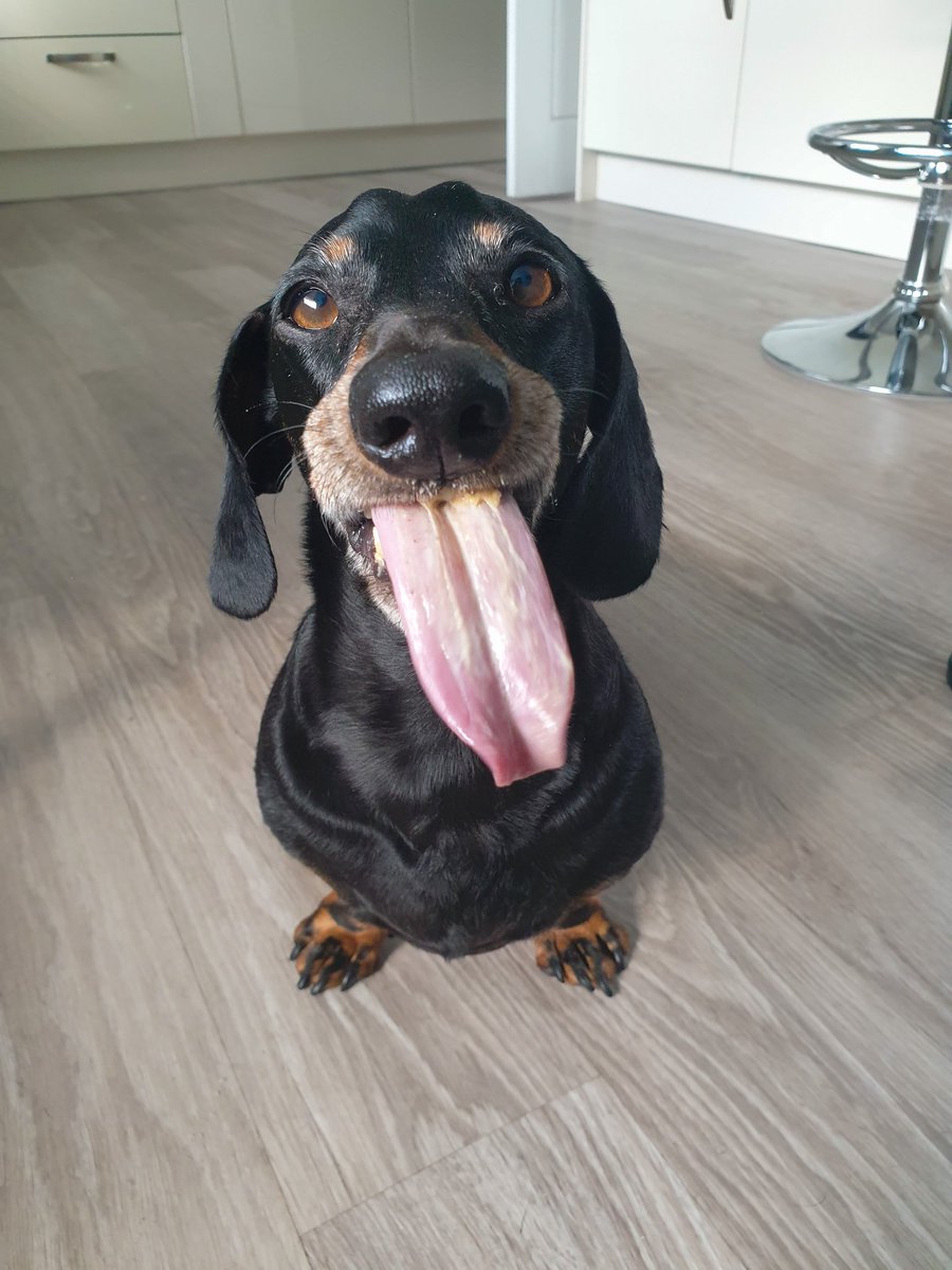 Happy Tongue Out Tuesday 🤪 #tot