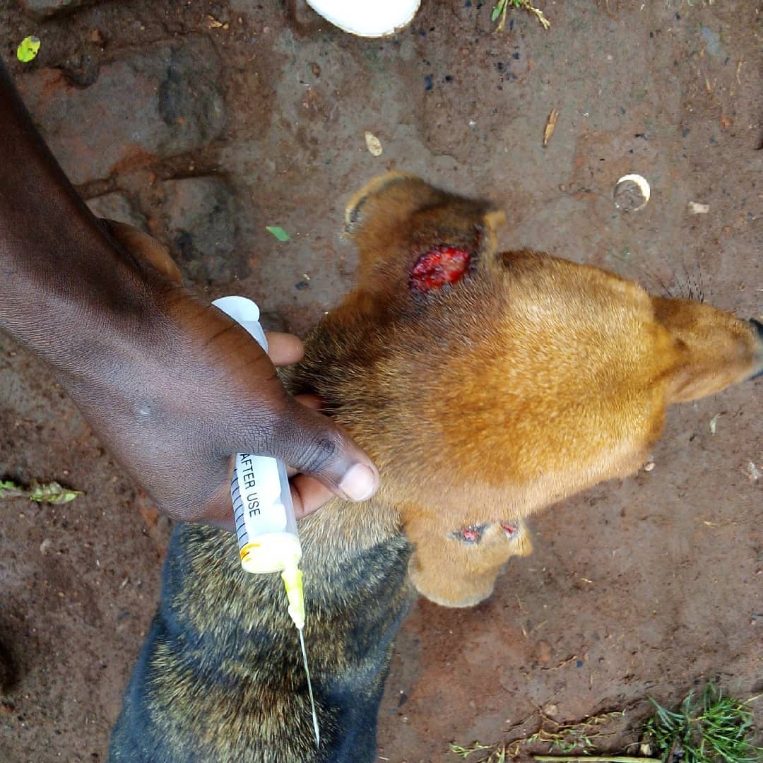 Today's work is to rescue this mom