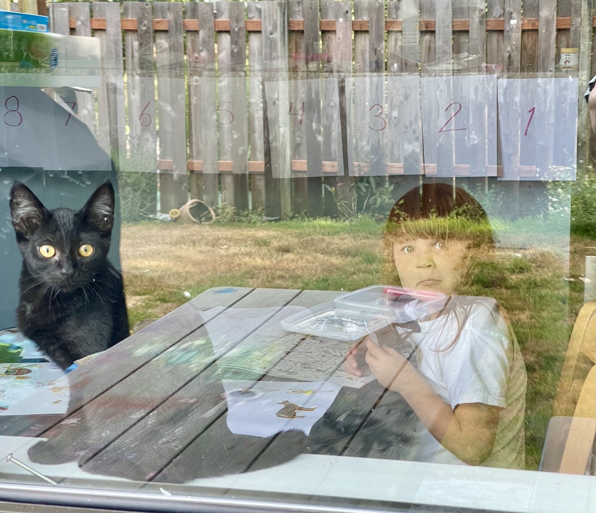 TomDeVo's tweet photo. Outside in. https://t.co/rQjKSE0KKz