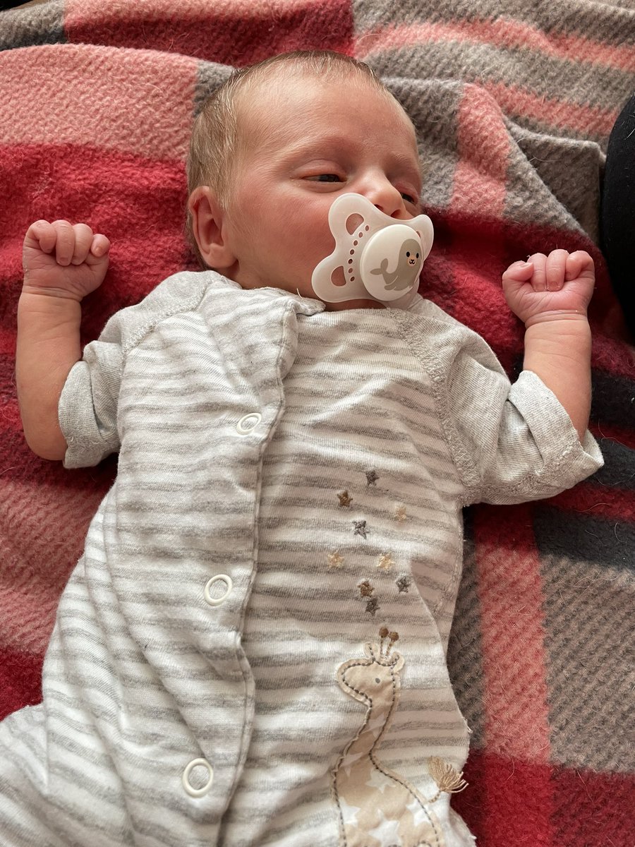 This magic device makes Teddy silent….