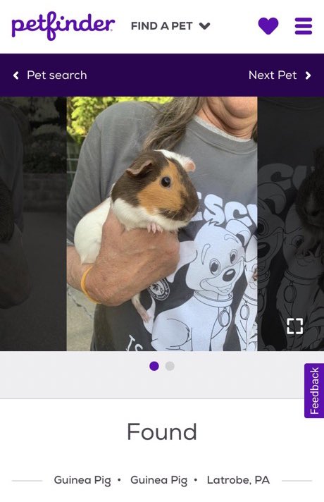 petfinder names (@petfindernames) on Twitter photo 