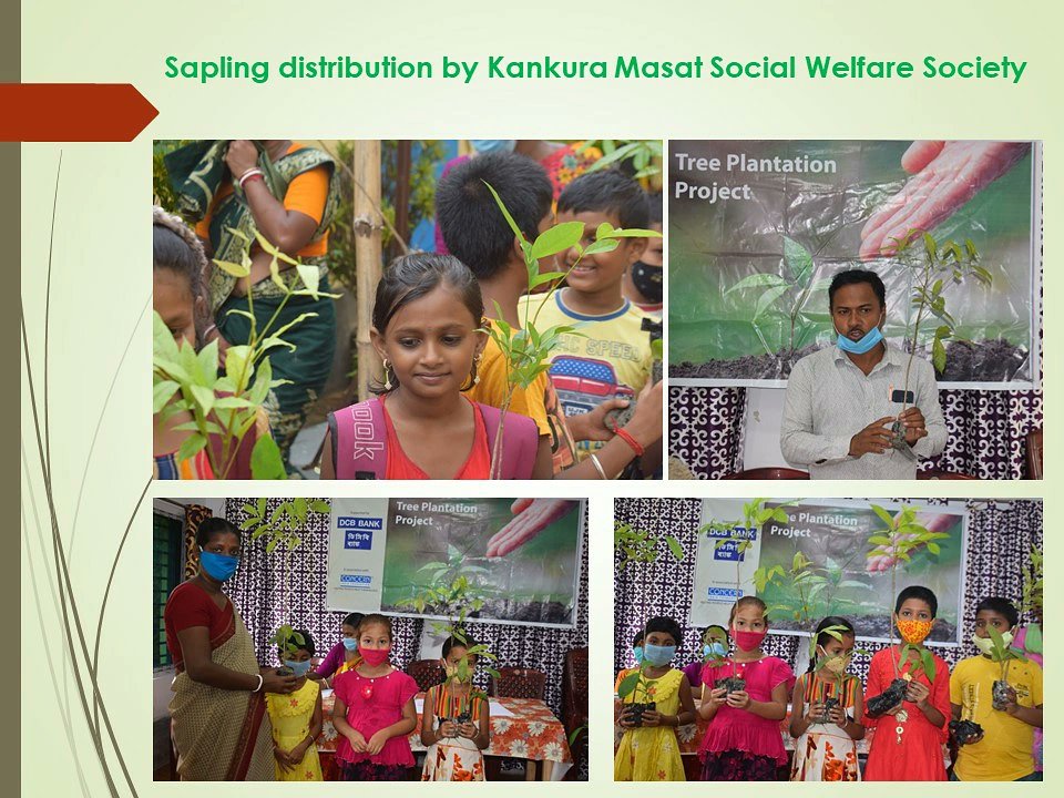 KankuraMasat's tweet photo. #KMSWS distributed saplings of Segun and Mahbani trees to 300 local students of Diamond Harbour of South 24 Pgns district. The manure and pesticides are provided by KMSWS. This program was supported by DCB bank and Concern India Foundation.
#KMSWS #kmsws #kankuramasat #ngo https://t.co/KCPMGrbHdt