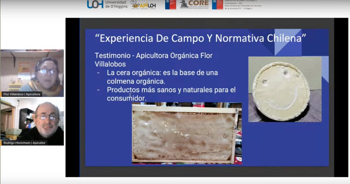 Si te perdiste el webinar "El Día Nacional de la Miel se vive en la UOH", ya puedes verlo. 

Escucha a los apicultores Flor Villalobos y Rodrigo Hinrichsen contando cómo hacen producción orgánica de productos de la colmena y muchos otros temas.  
▶️  youtu.be/sXNLpTgWeEA