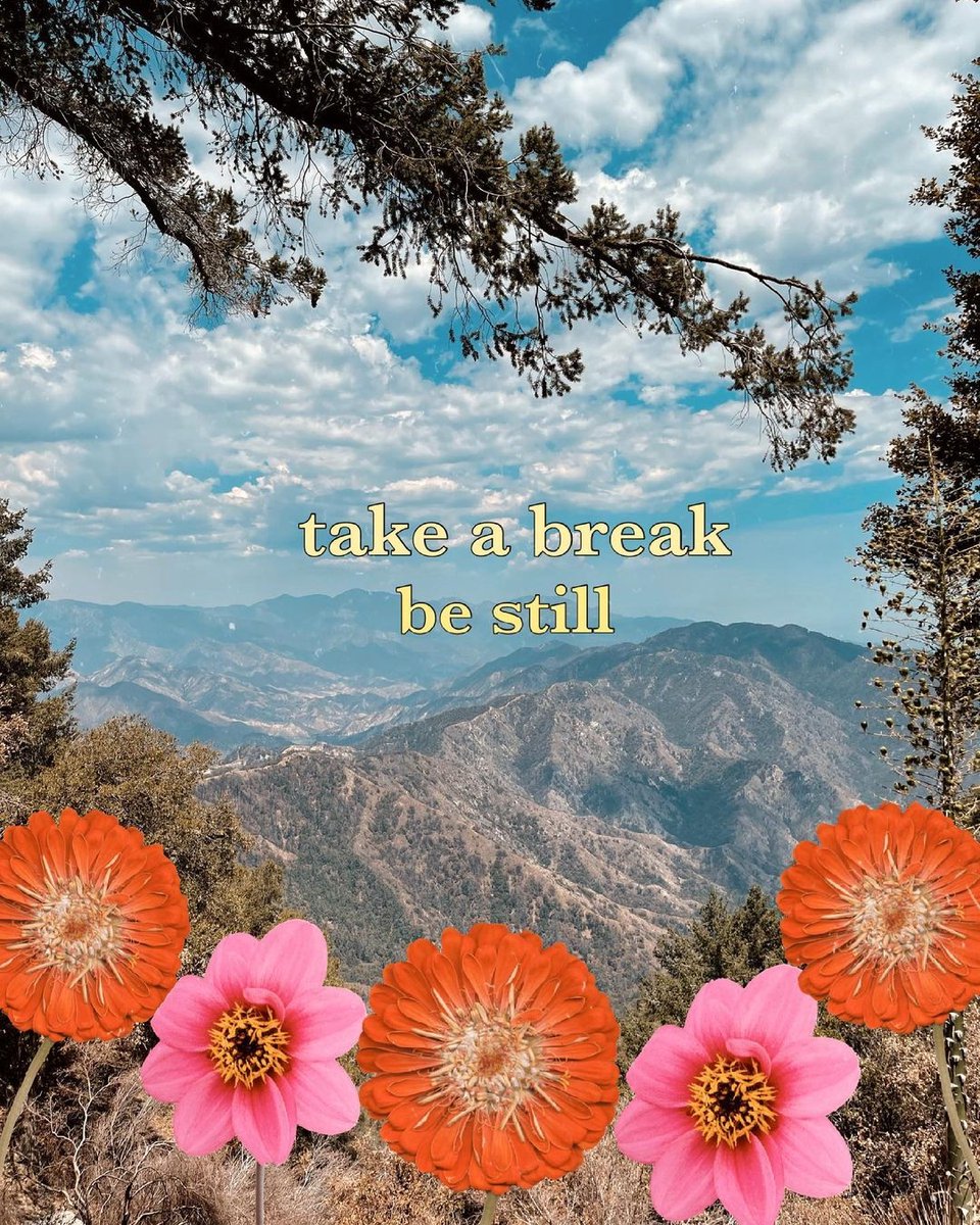 adesignkit's tweet photo. Take a break 🌸🦋🧡 the reminder we all need from @lavida.dacolores! #adesignkit https://t.co/SiiSlSVIsn