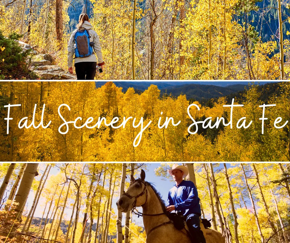 turquoisebear's tweet photo. We know fall vacation planning is well underway, and we wanted to share our favorite ways to admire the autumn leaves. To learn all about the best hiking trails, scenic drives, and outdoor excursions to experience this fall, visit our latest blog post.
https://t.co/uP51F4Tfhq https://t.co/uyzC2Bh873