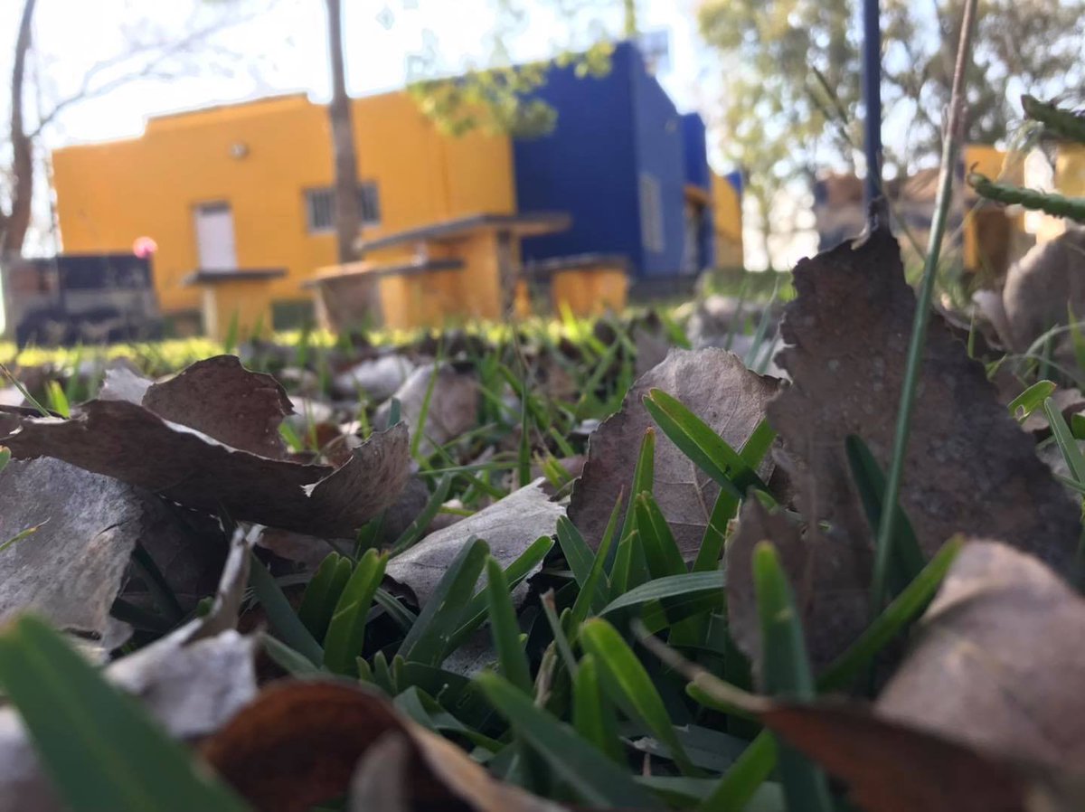 SanFcoEsDeBoca's tweet image. ATENCIÓN AL SOCIO
De a poco se va reactivando nuestra querida Peña, Hoy martes 10 de 16 a 17:30 los nuevos integrantes de la juventud te esperan en secretaría. Quienes reservaron fechas de alquileres del predio y/o salón hoy pueden pasar a celebrar su contrato.
#SomosLaPeña💙💛💙