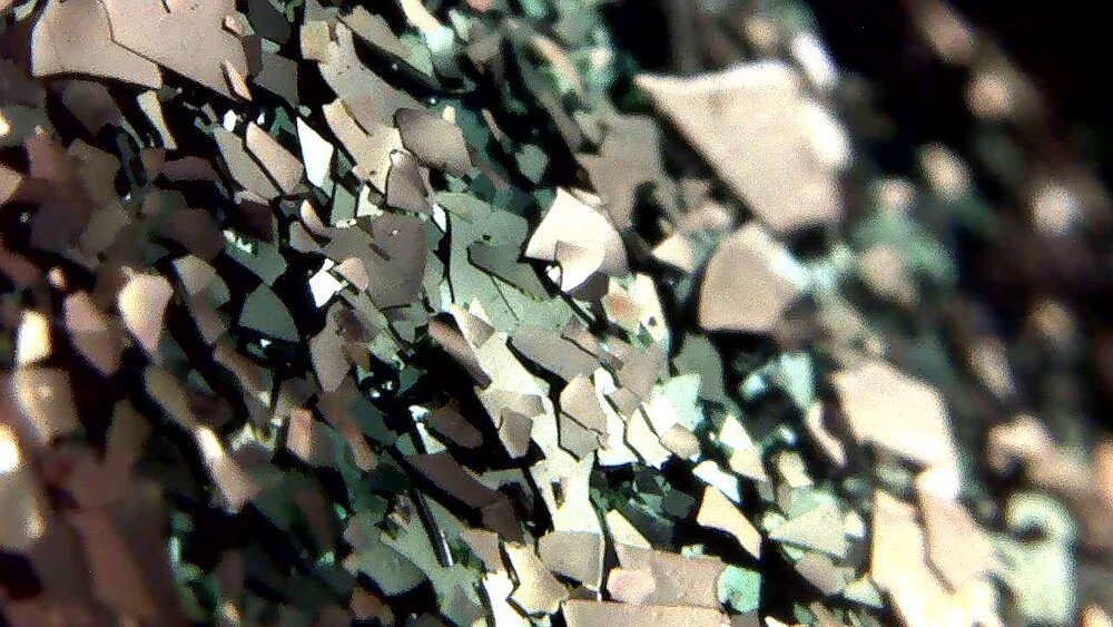 Holo: Fully Loaded tweet media