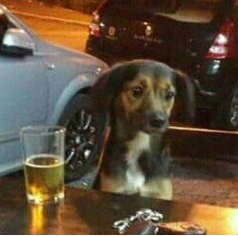 Alcides Luna (@alcidesluna) on Twitter photo 