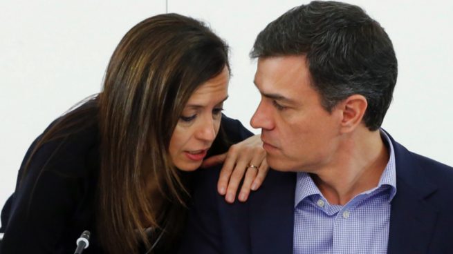 Pedro Durán Morgado tweet media