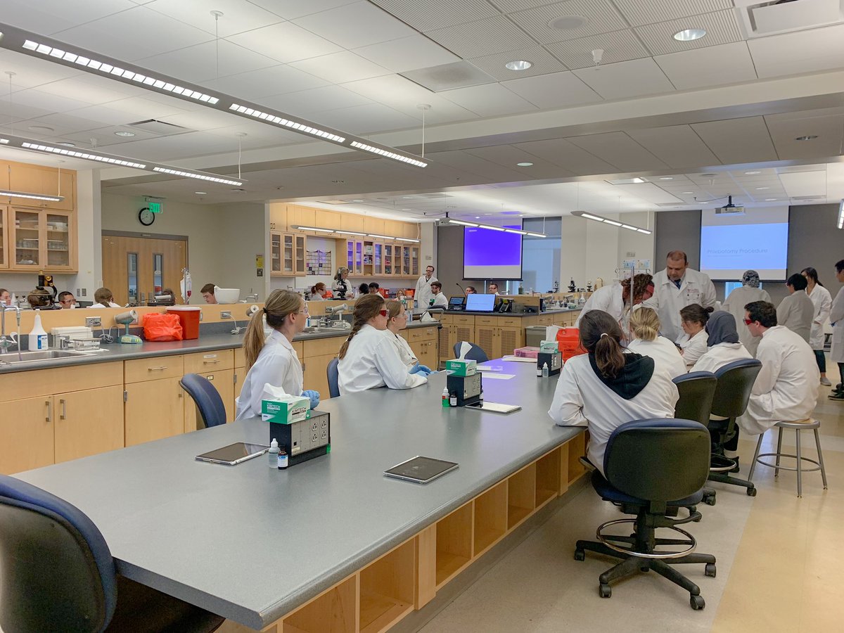 UofUMLS's tweet photo. Did you knowβ¦
The @UUtah is projected to have the largest first-year class in history?
We are looking forward to meeting our new Pre-MLS students this fall!
π©π»βπ¬π¦ π§«π
.
.
.
.
#uofumls #HigherEd #mls #medlabscience #schoolofmedicine #putpathonthemap https://t.co/mBDZGkSzdw