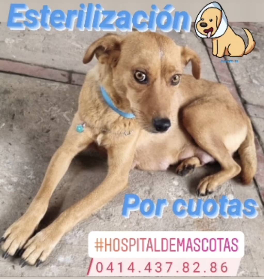 ASOGUAU tweet media