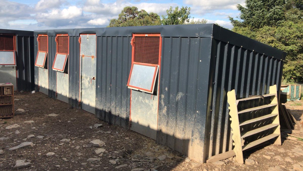 🆘️We really need your help🆘️
Our kennels are all full-we have 95 dogs. We are having to turn away dogs at risk of being put to sleep as we don't have kennels for them for the evening😥
If we can raise £3000 we can house another 10 to 15 dogs🙏
PayPal.me/collies717 ref HELP