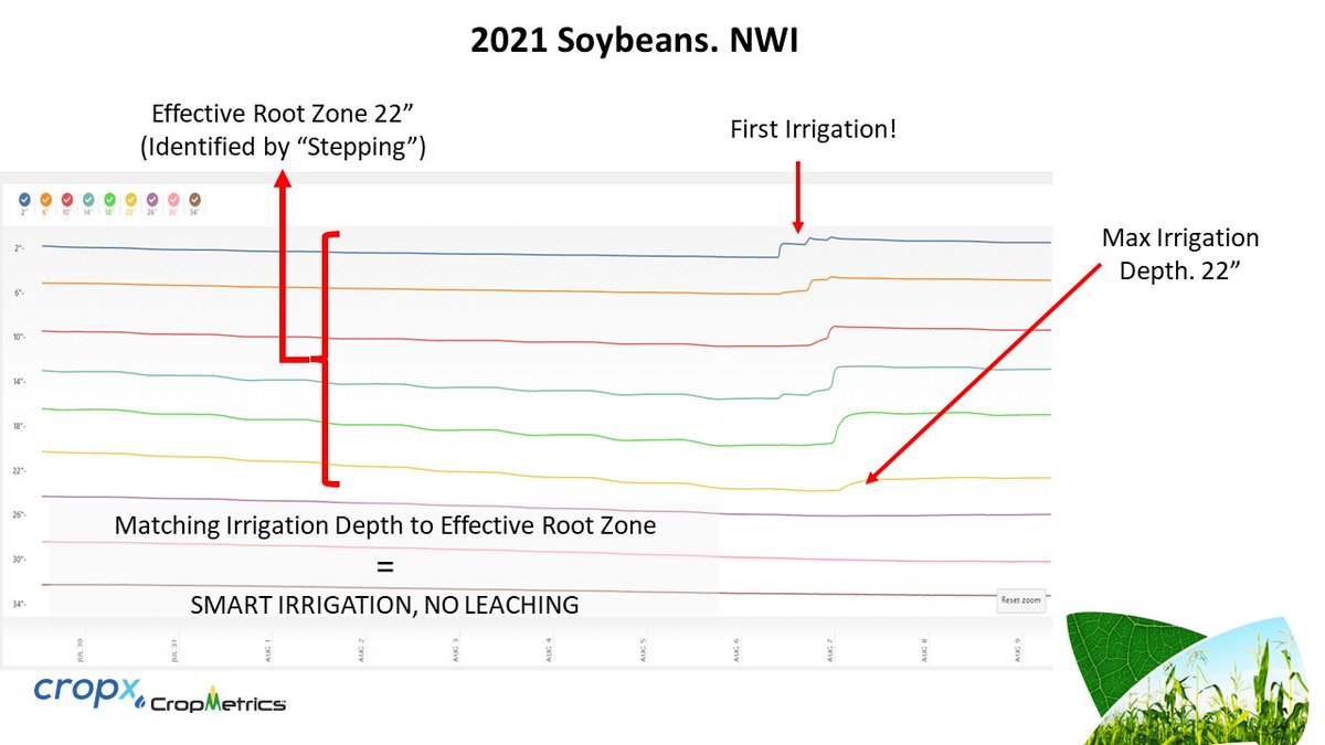 Sheldon Alt tweet media