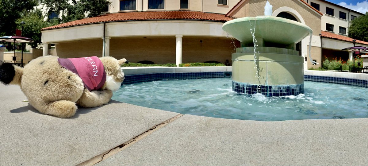 Texas State University Computer Science tweet media